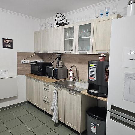 Borostyan Panzio Bed & Breakfast Дебрецен Екстериор снимка